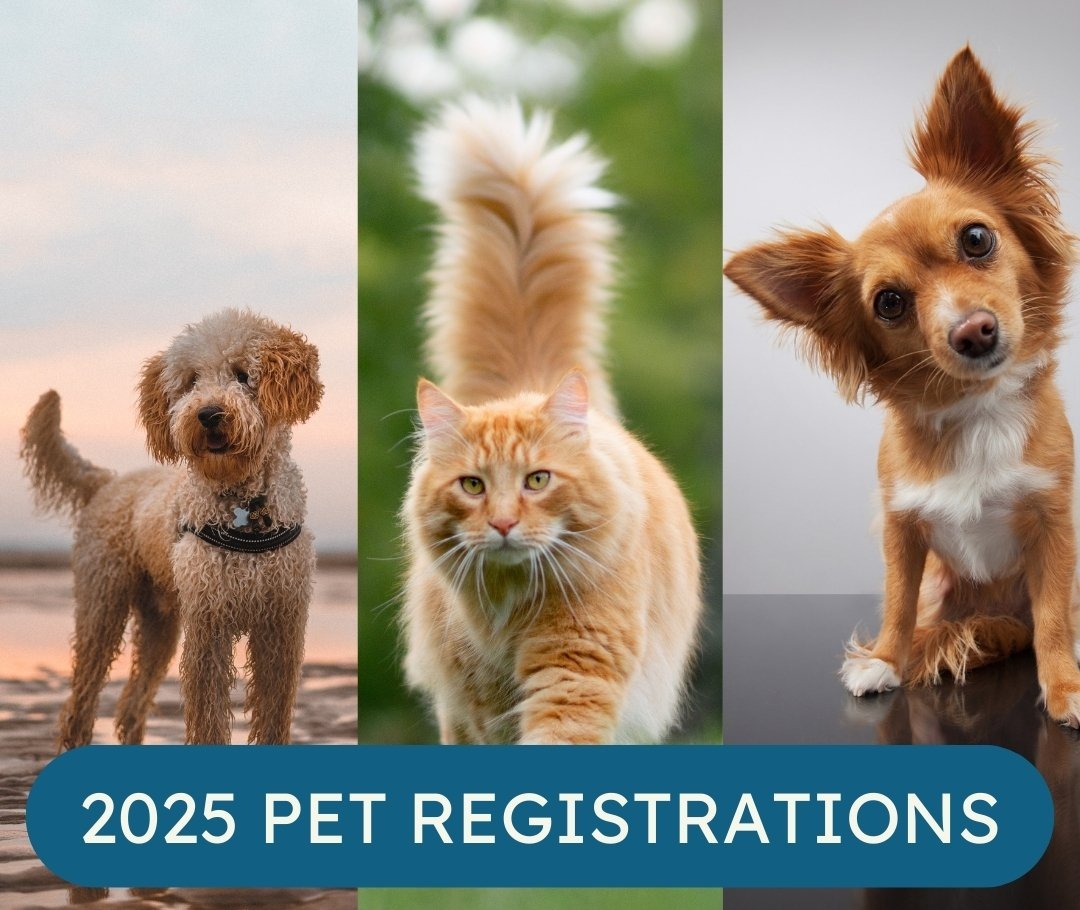 2025 Pet Registrations Now Open with photographs of various dogs and cats